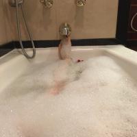 /photo/766896/不约 不约/image_1_1_small.jpg